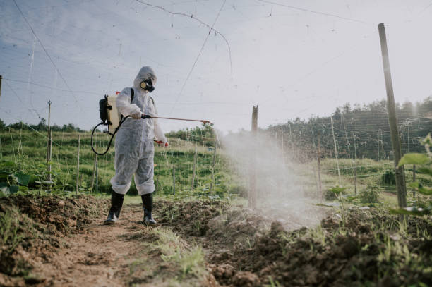 Best Commercial Pest Control Services  in Marion, IL