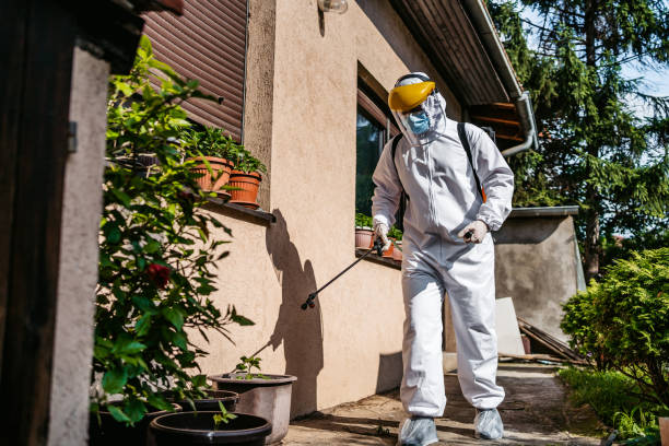 Best Wasp Removal Services  in Marion, IL