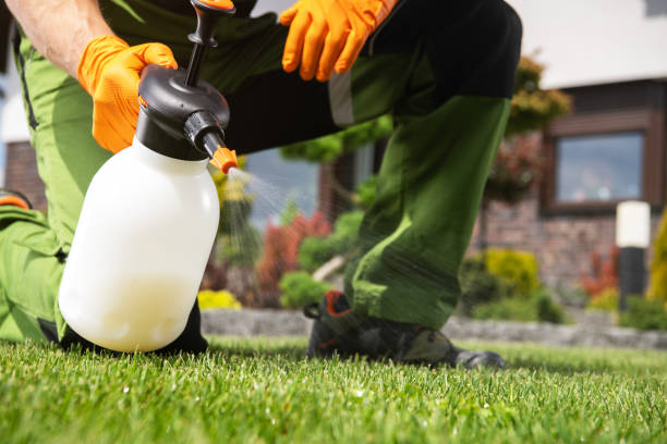 Best Emergency Pest Control  in Marion, IL