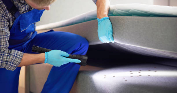 Best Pest Control Near Me  in Marion, IL