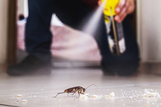 Best Affordable Pest Control Services  in Marion, IL