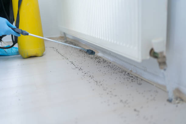 Best Pest Inspection Near Me  in Marion, IL