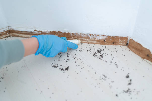 Best Pest Removal Services  in Marion, IL